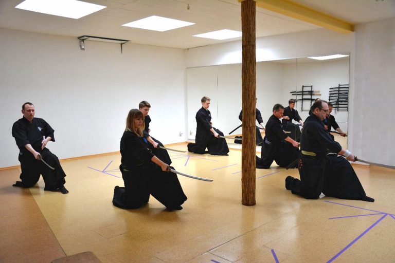 Anfängerkurs im Kakushinkai Dojo