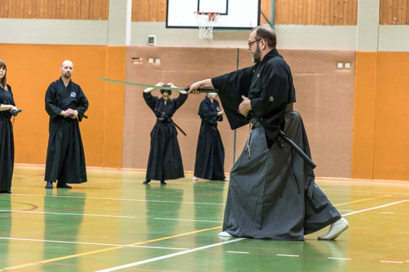 2019 Seminar315 Mugai Ryu Iaido